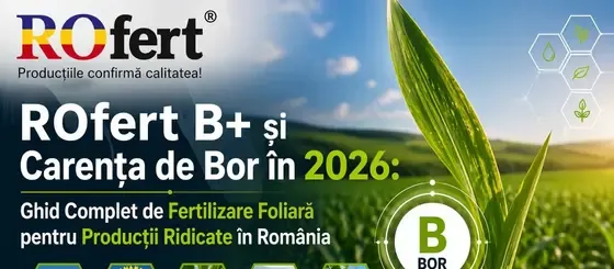ROfert B+ și Carența de Bor în 2026: Ghid Complet de Fertilizare Foliară pentru Producții Ridicate în România