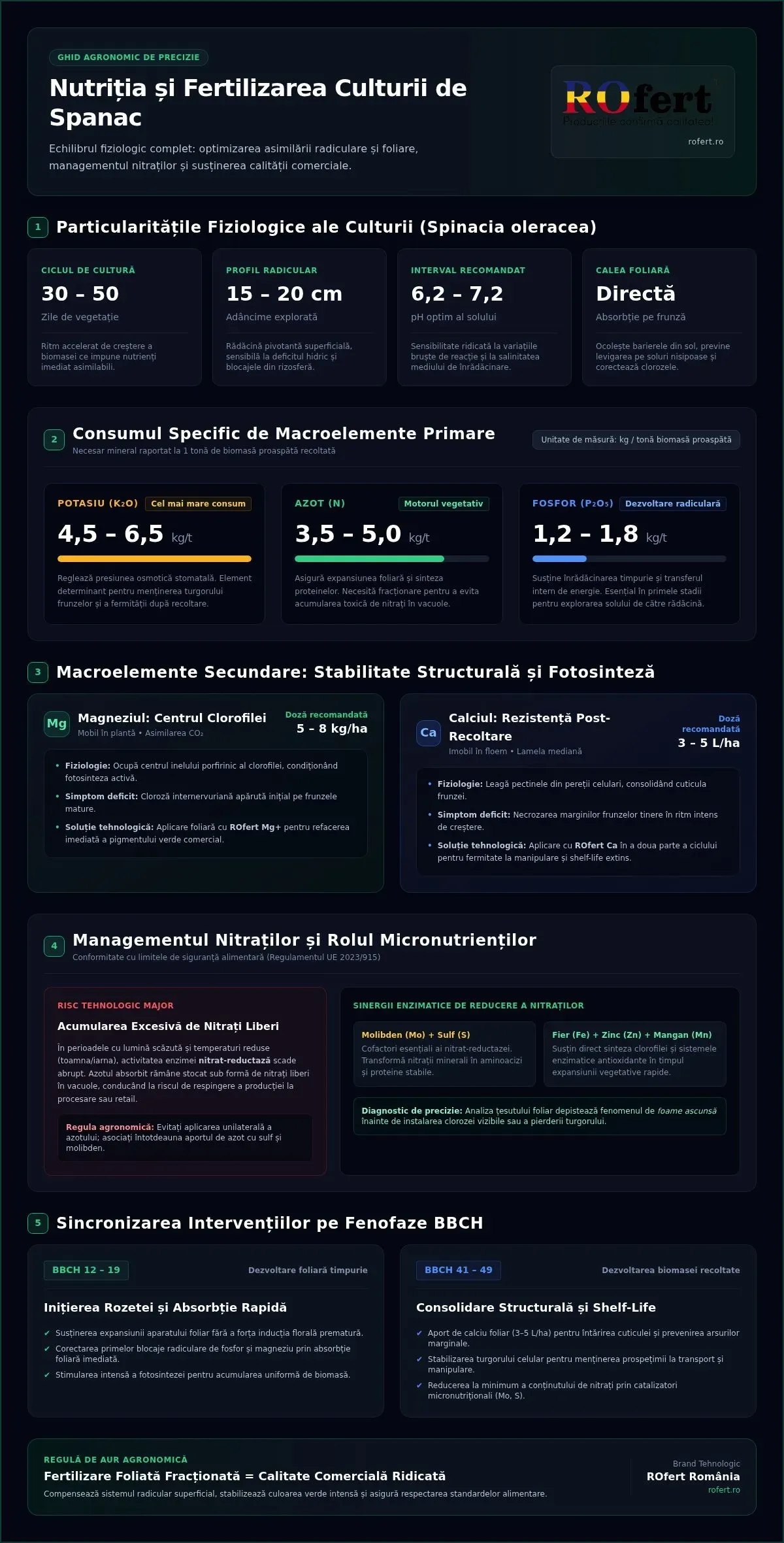 Cerințe de fertilizare pentru cultura de spanac