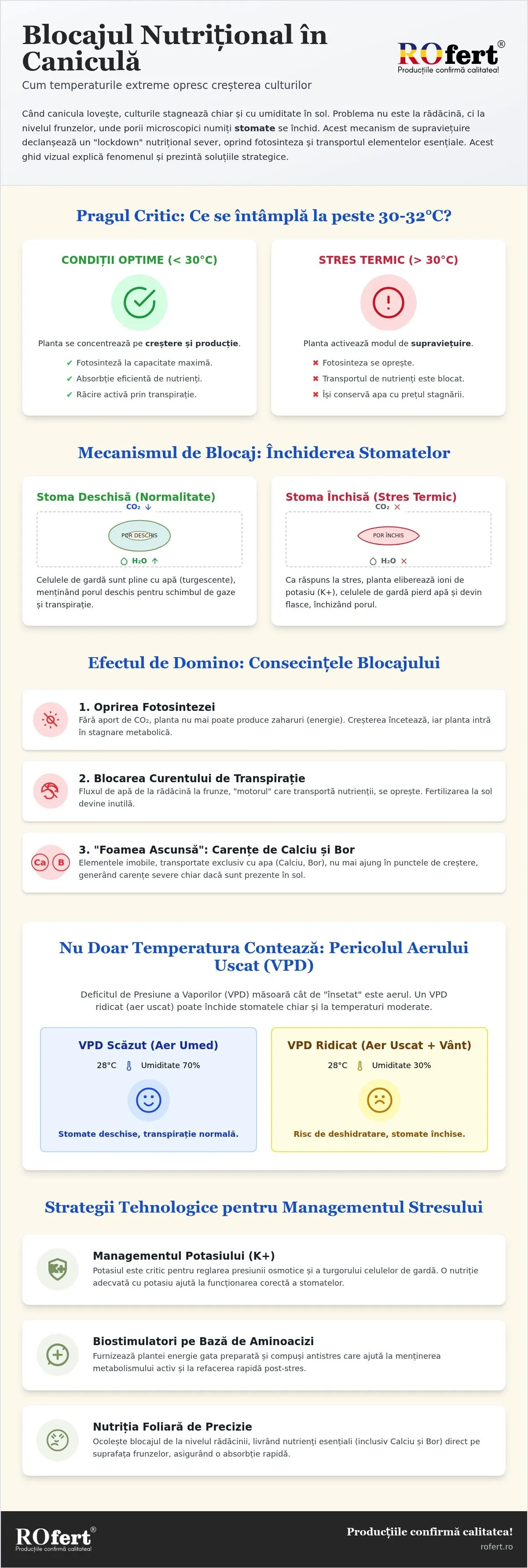 Generează un articol premium, complet, documentat și optimizat SEO + AEO + GEO, de minimum 4.500-6.000 de cuvinte, cu titlul:  "Cum influențează temperatura funcționarea stomatelor și de ce po