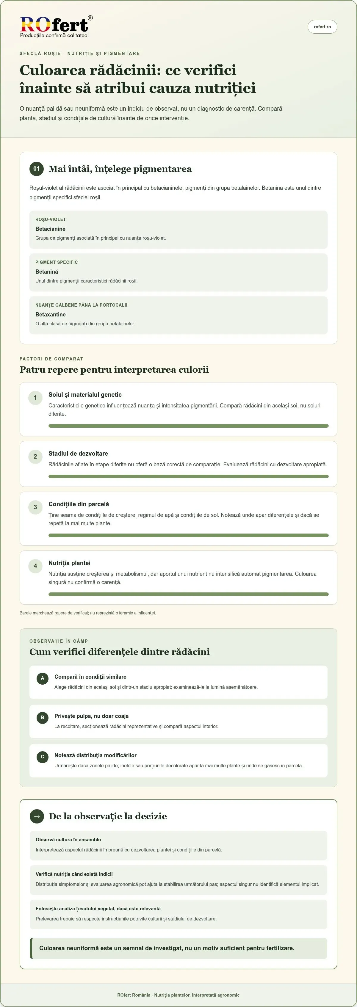 Cum să obții o culoare intensă la sfecla roșie prin nutriție