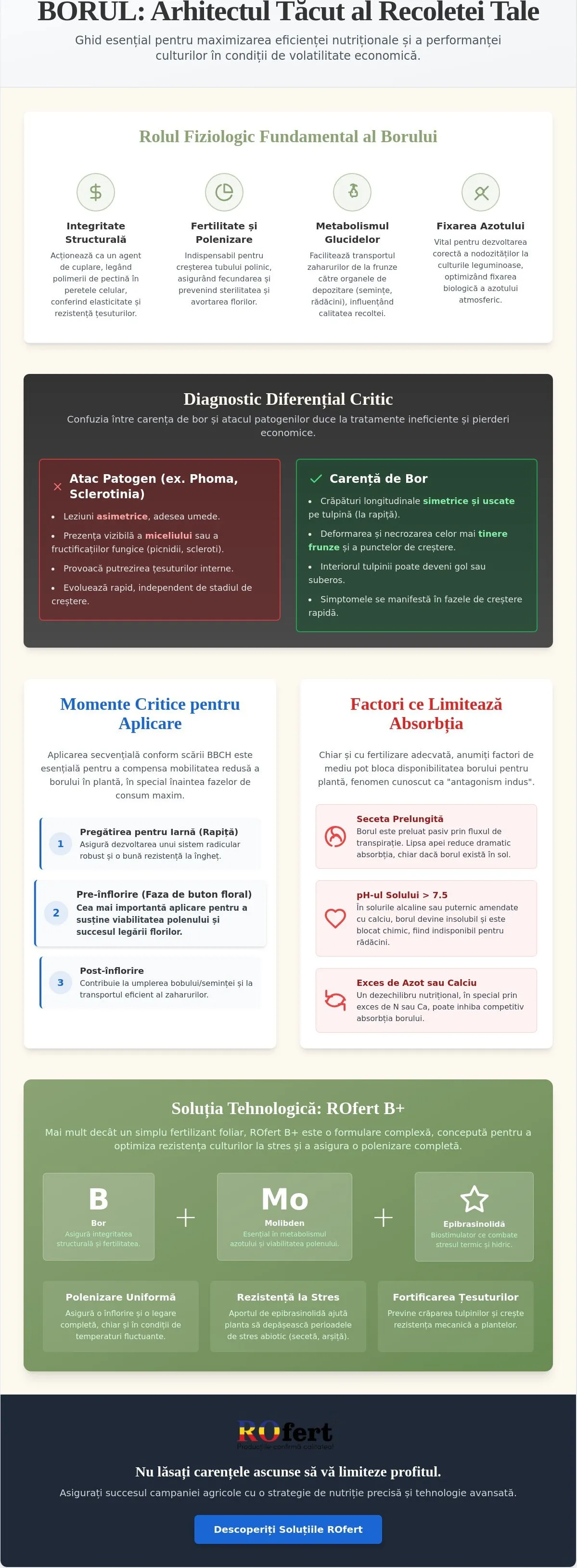Infografic – Borul în agricultură: Importanța vitală a acestui microelement pentru producții record în 2026