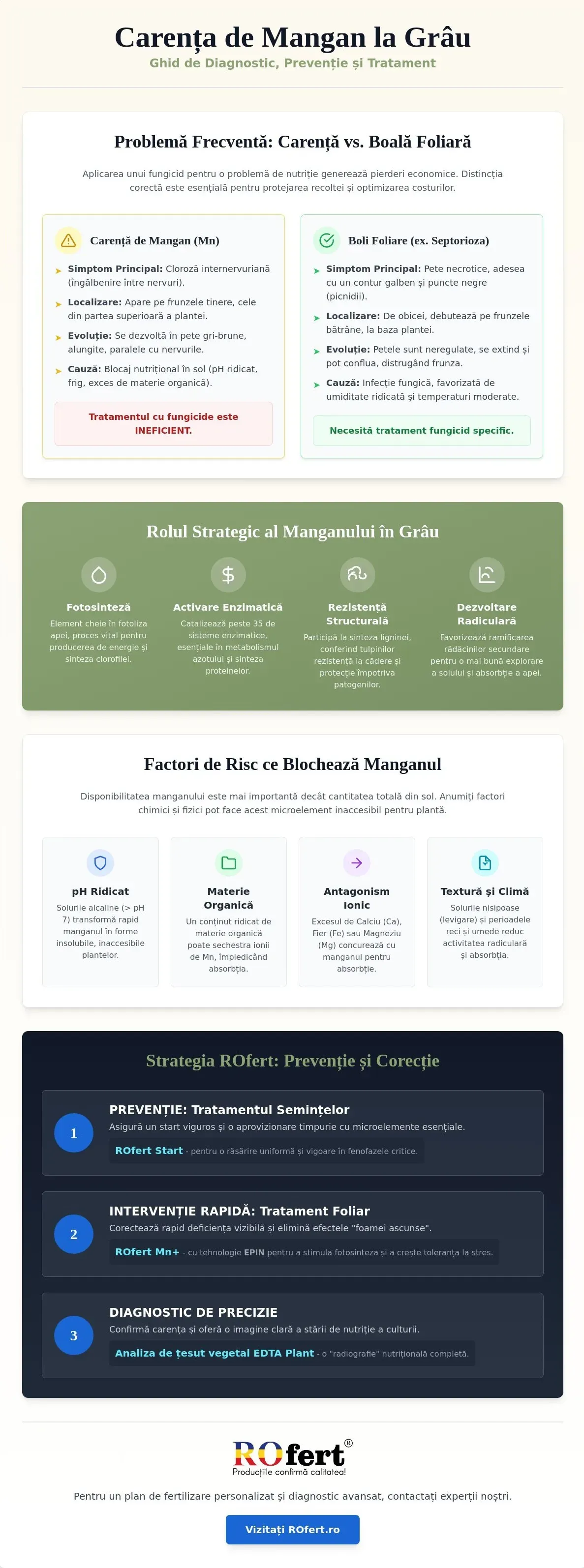 Infografic – Carența de mangan la grâu: Simptome și soluții ROfert