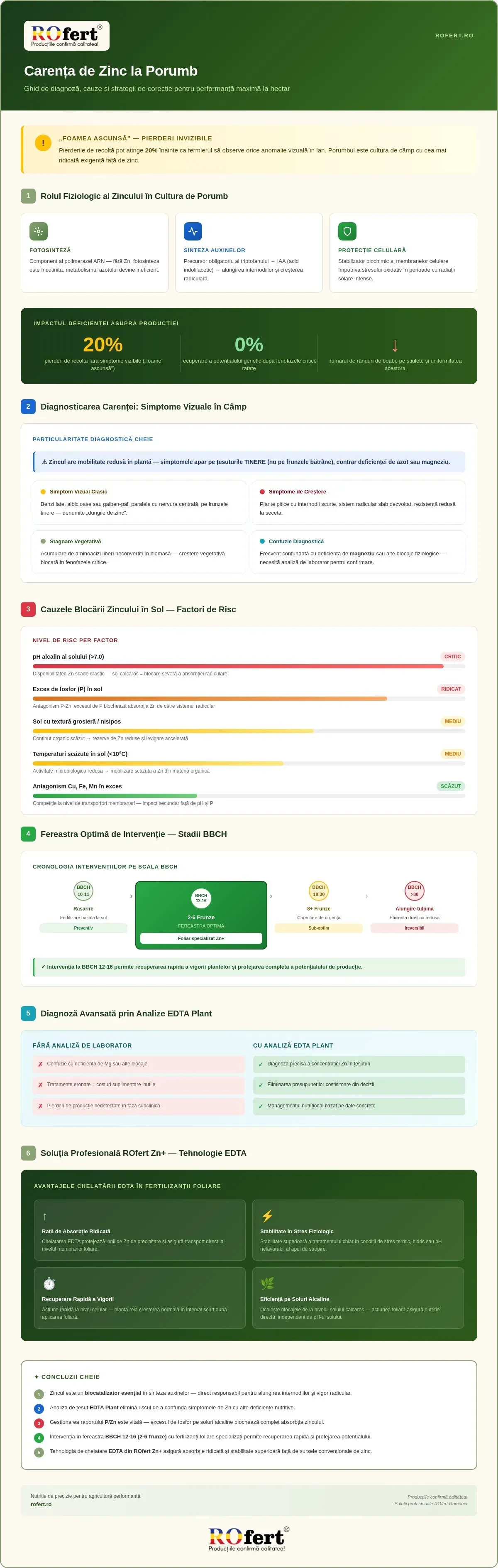 Infografic – Carența de Zinc la Porumb: Identificare și Remedii ROfert
