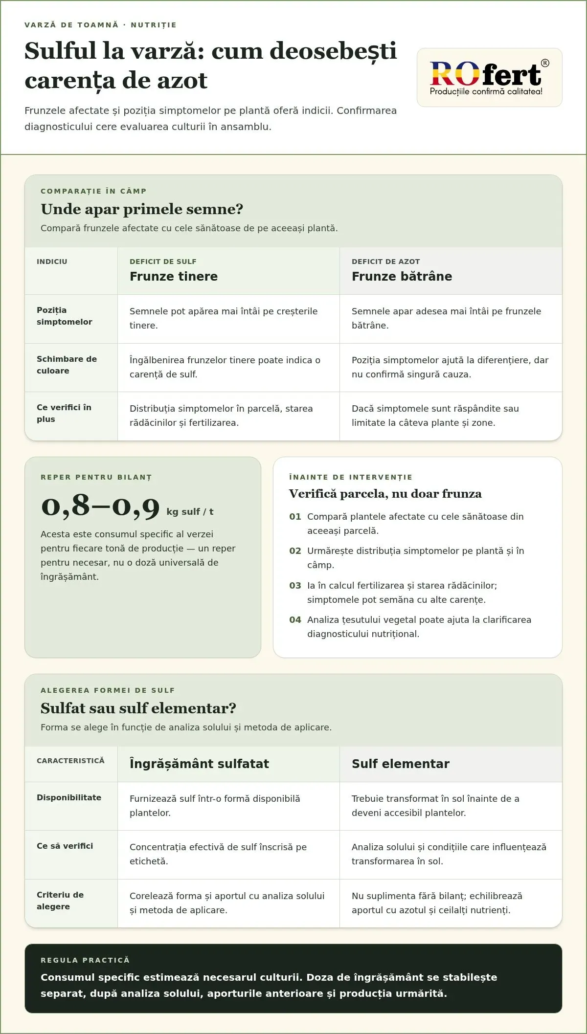 Infografic – Cum gestionezi sulful pentru o varză de toamnă de calitate
