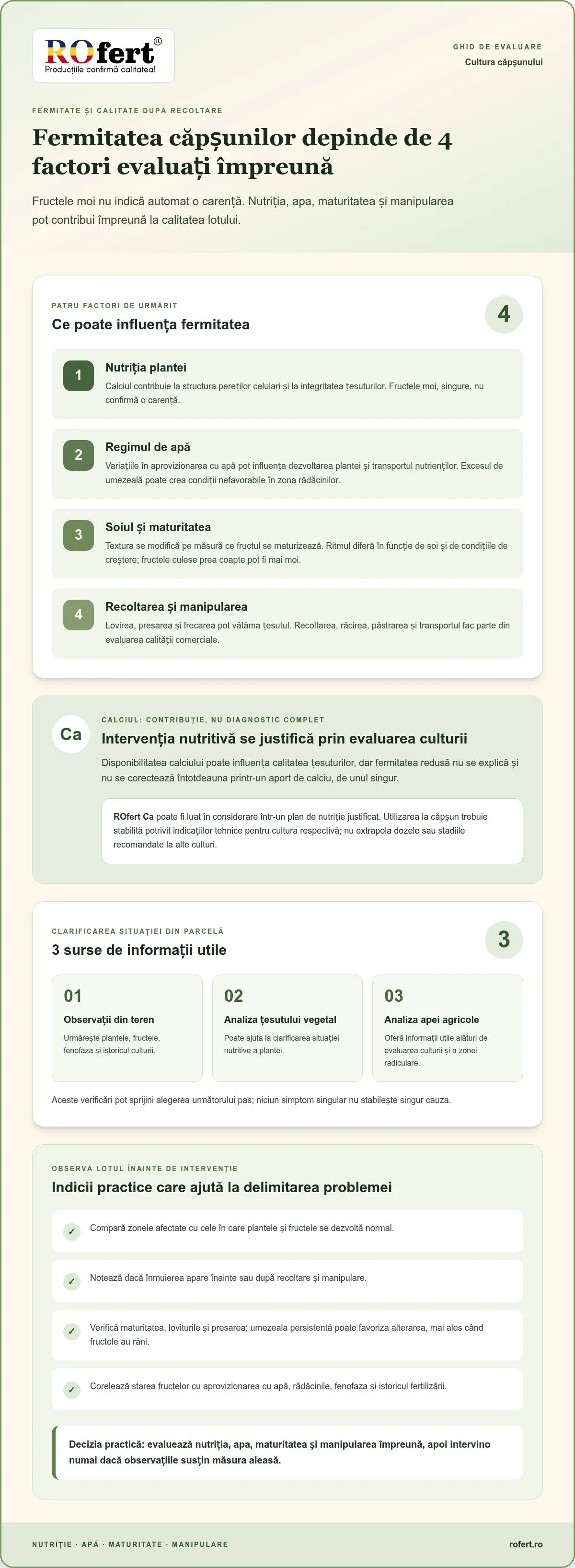 Infografic – Cum să îmbunătățești fermitatea și durata de viață la căpșuni