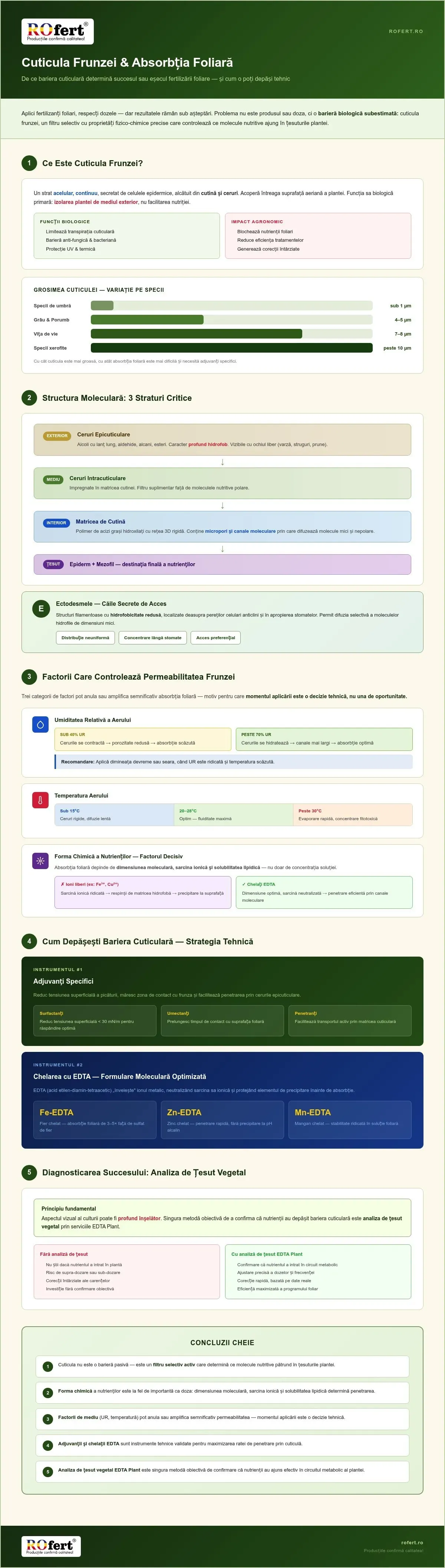 Infografic – De ce frunza NU absoarbe orice fertilizant lichid? Rolul cuticulei și al formei chimice a nutrienților