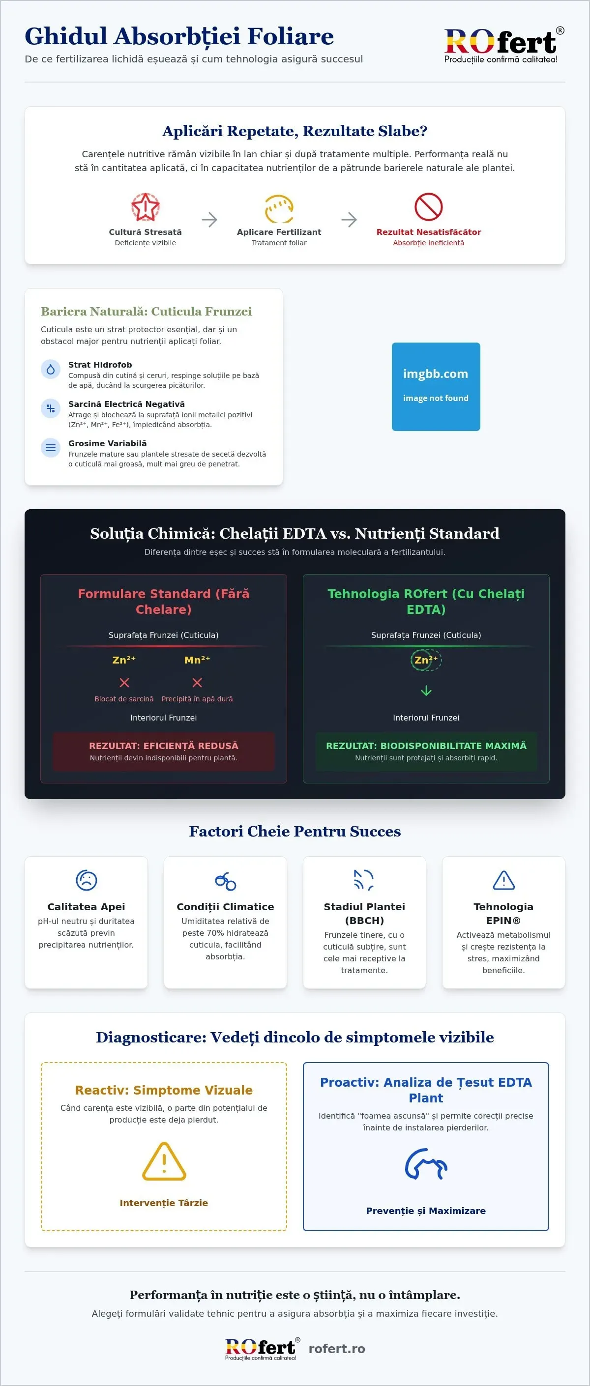 Infografic – De ce NU toți fertilizanții lichizi au efect maxim asupra plantei? Știința din spatele absorbției foliare