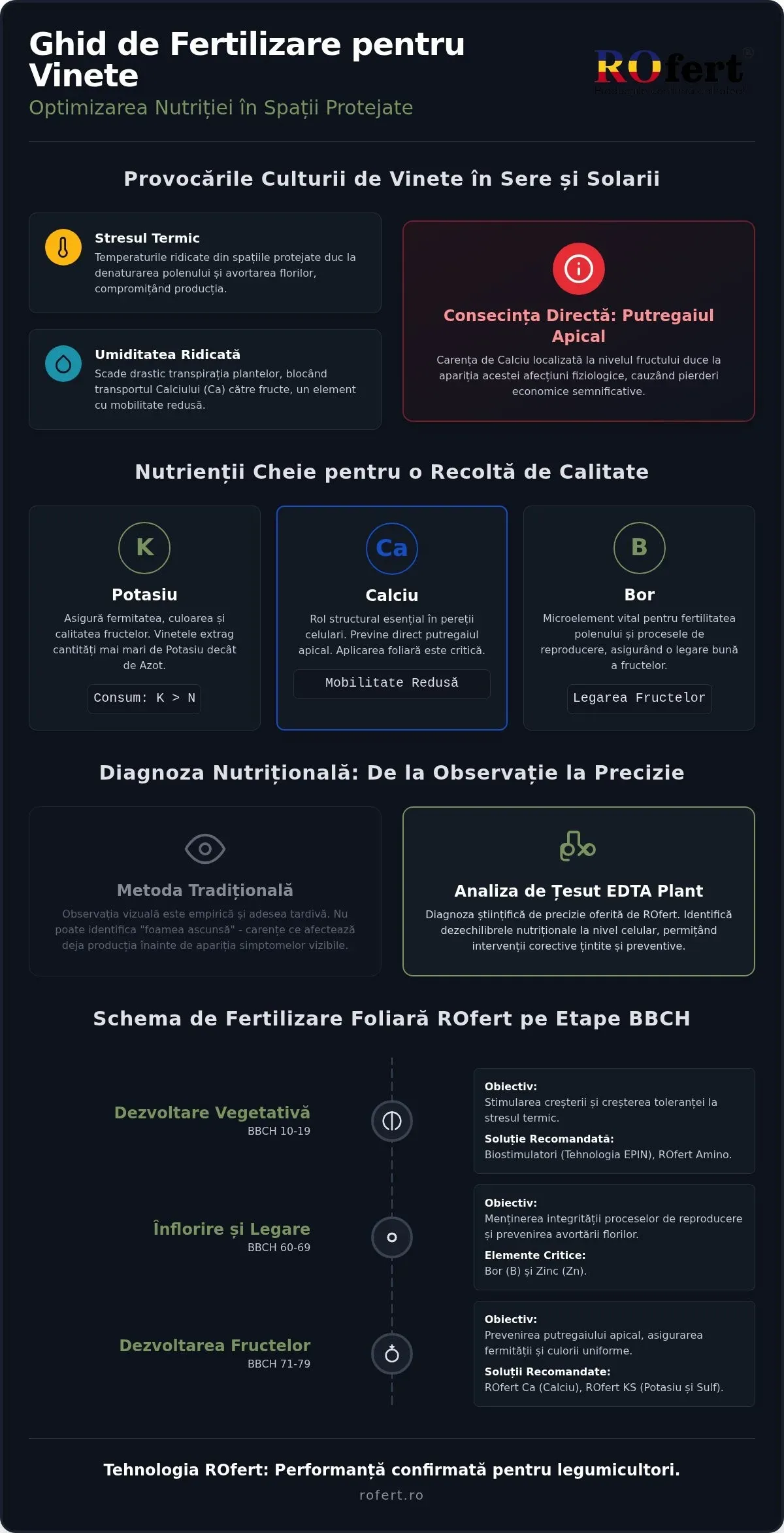 Infografic – Îngrășăminte pentru vinete în câmp protejat: Ghid de nutriție foliară ROfert 2026