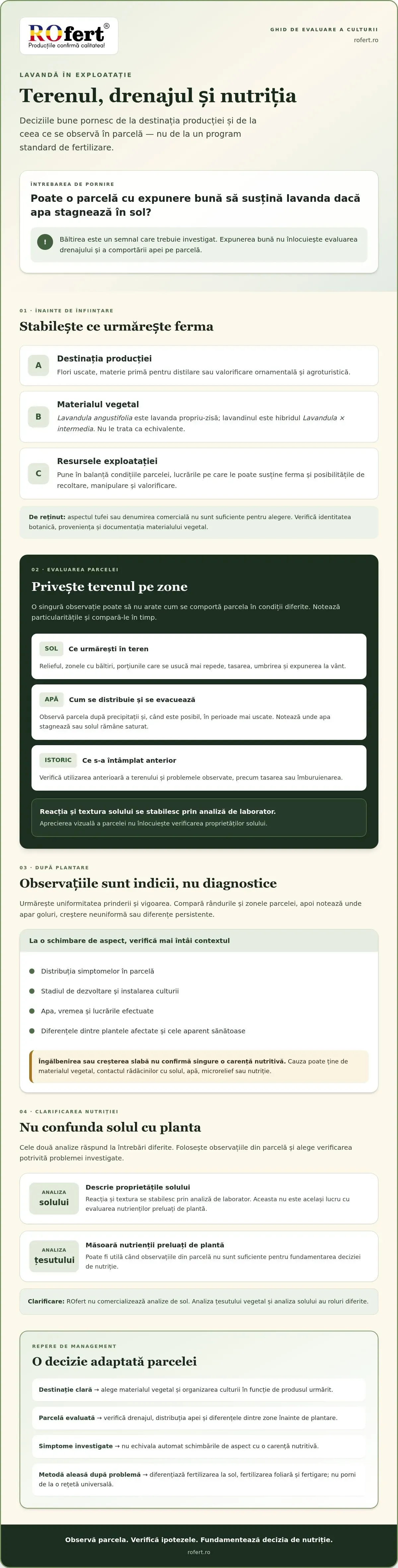 Infografic – Lavanda în România: ghid agronomic pentru înființare și nutriție