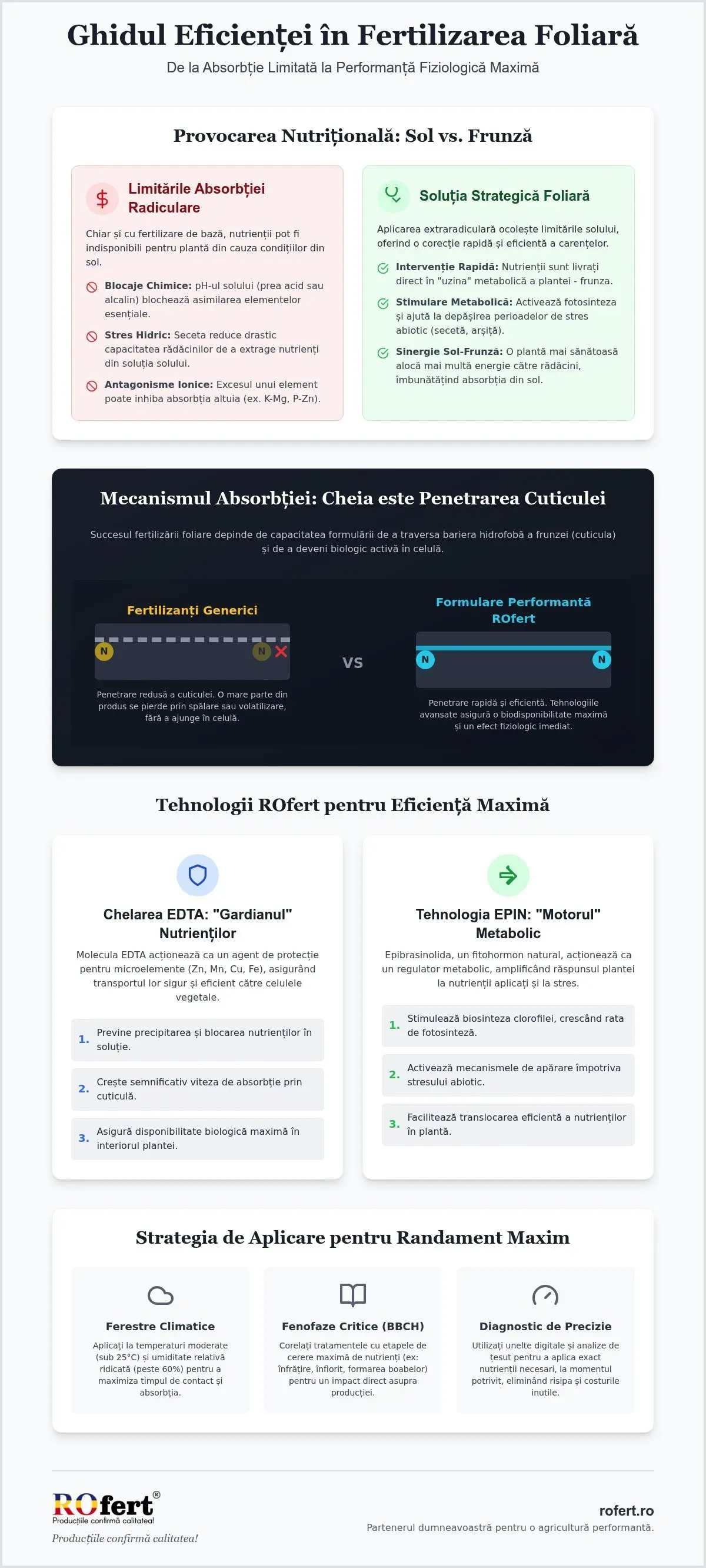 Infografic – Nu orice nutrient aplicat pe frunză ajunge în plantă. Știința care separă fertilizanții foliari performanți de produsele cu eficiență redusă