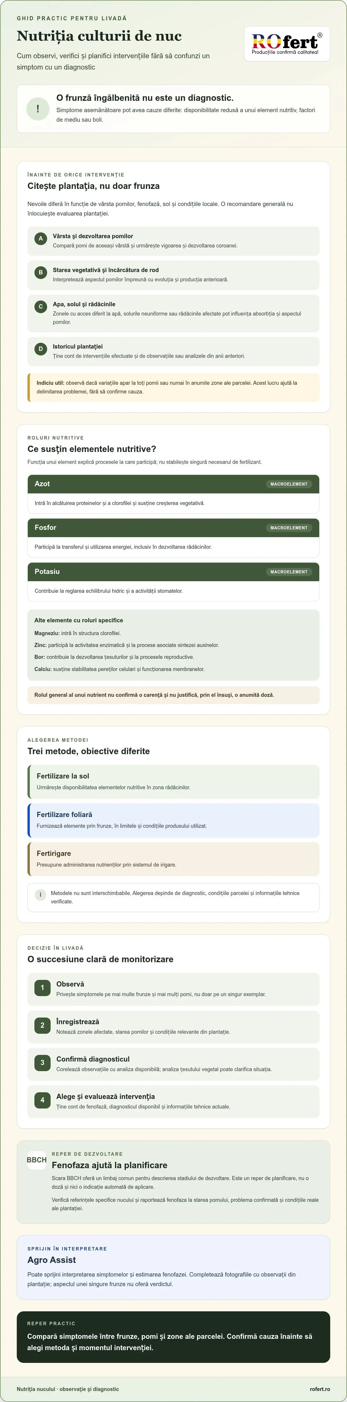 Infografic – Nutriția culturii de nuc: ghid agronomic pentru decizii informate în 2026