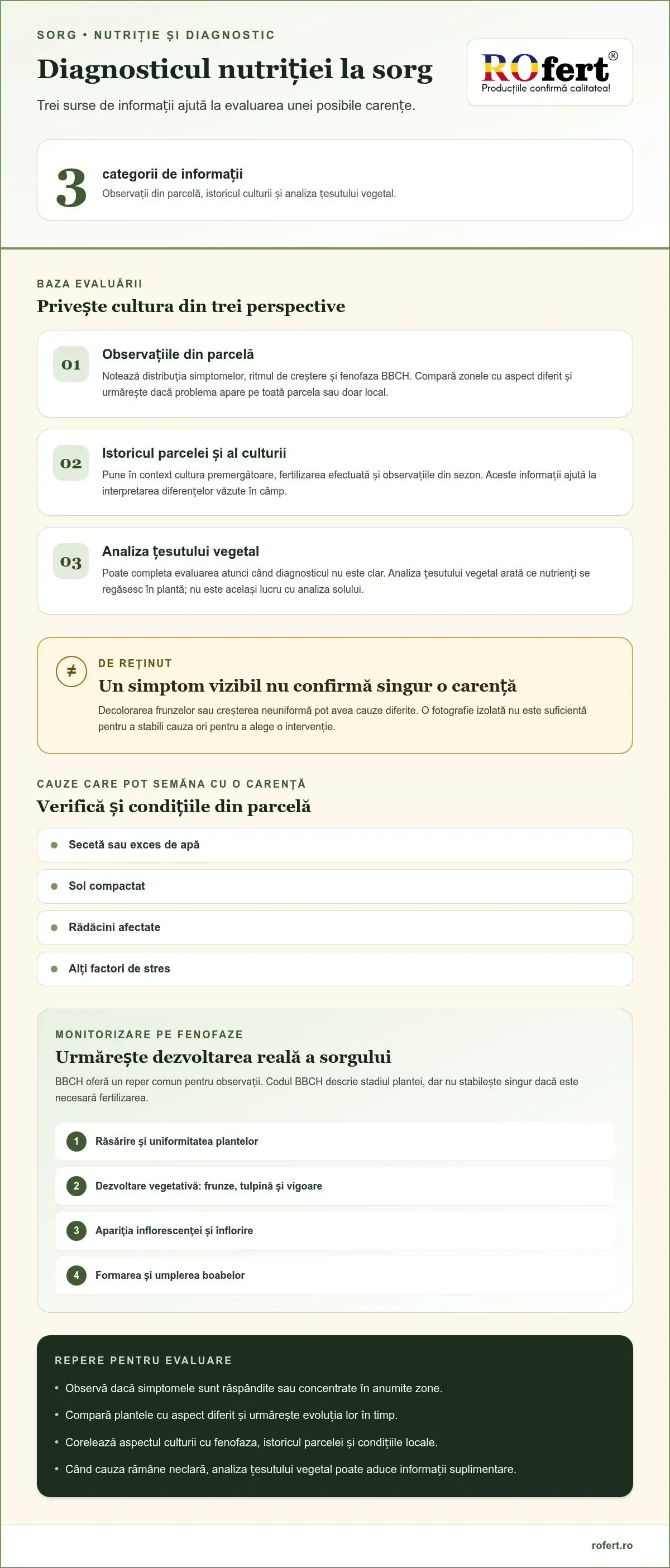 Infografic – Plan de nutriție pentru cultura de sorg: ghid practic pe fenofaze