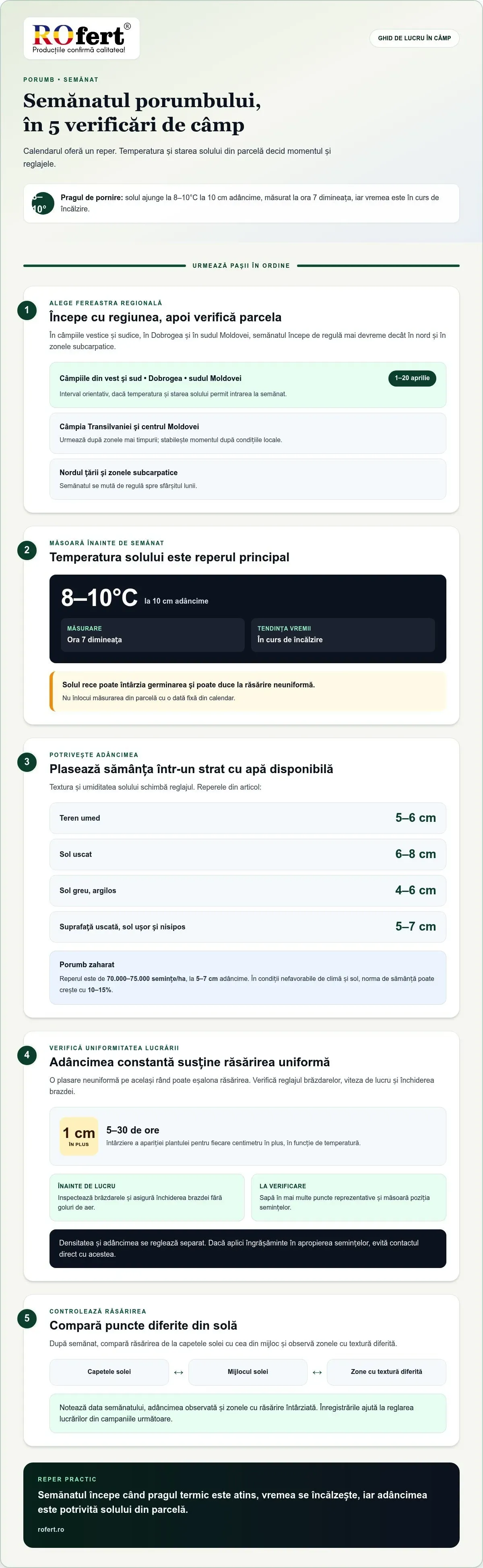 Infografic – Porumbul: perioadele de semănat și alegerea hibrizilor după precocitate