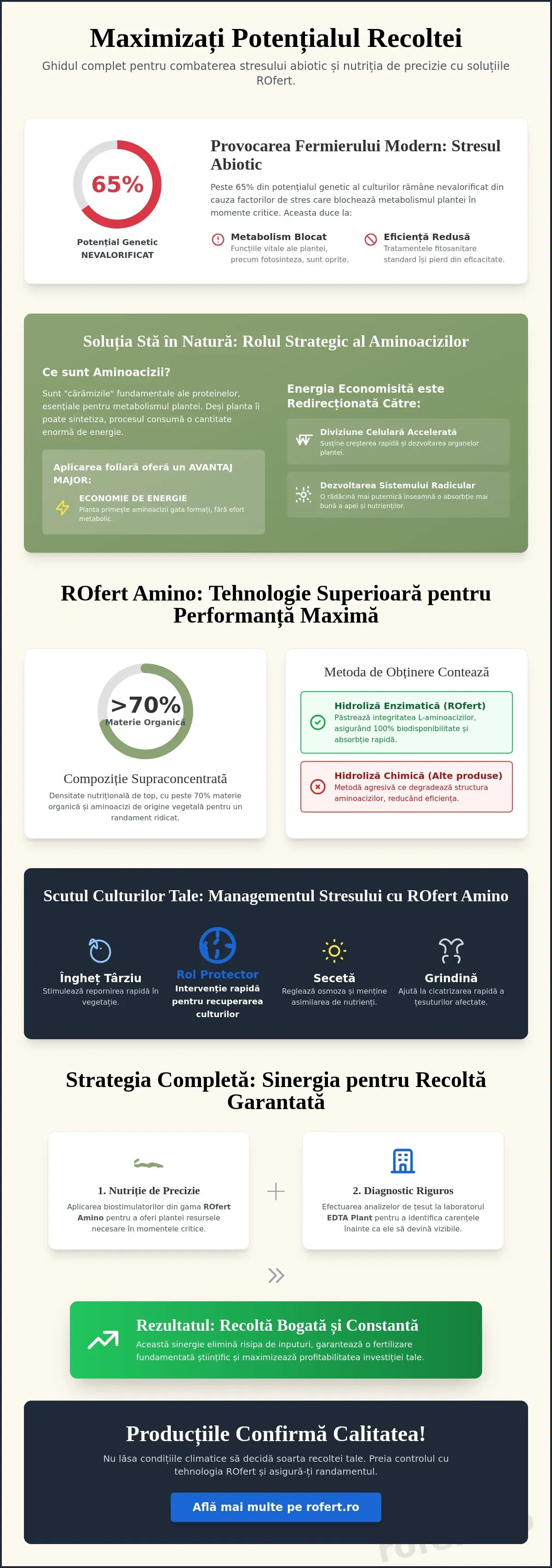Infografic – ROfert Amino: Ghidul Complet al Aminoacizilor în Nutriția Vegetală Performantă