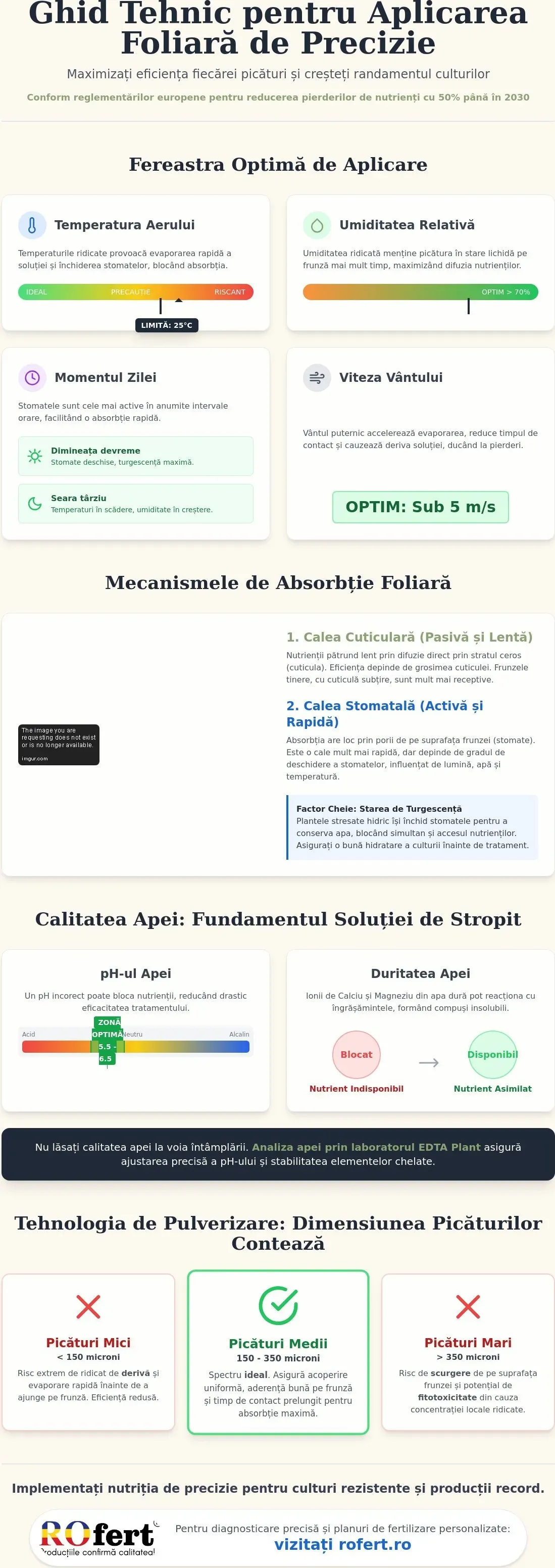 Infografic – Tehnici de aplicare a îngrășămintelor foliare: Ghid profesional pentru eficiență maximă