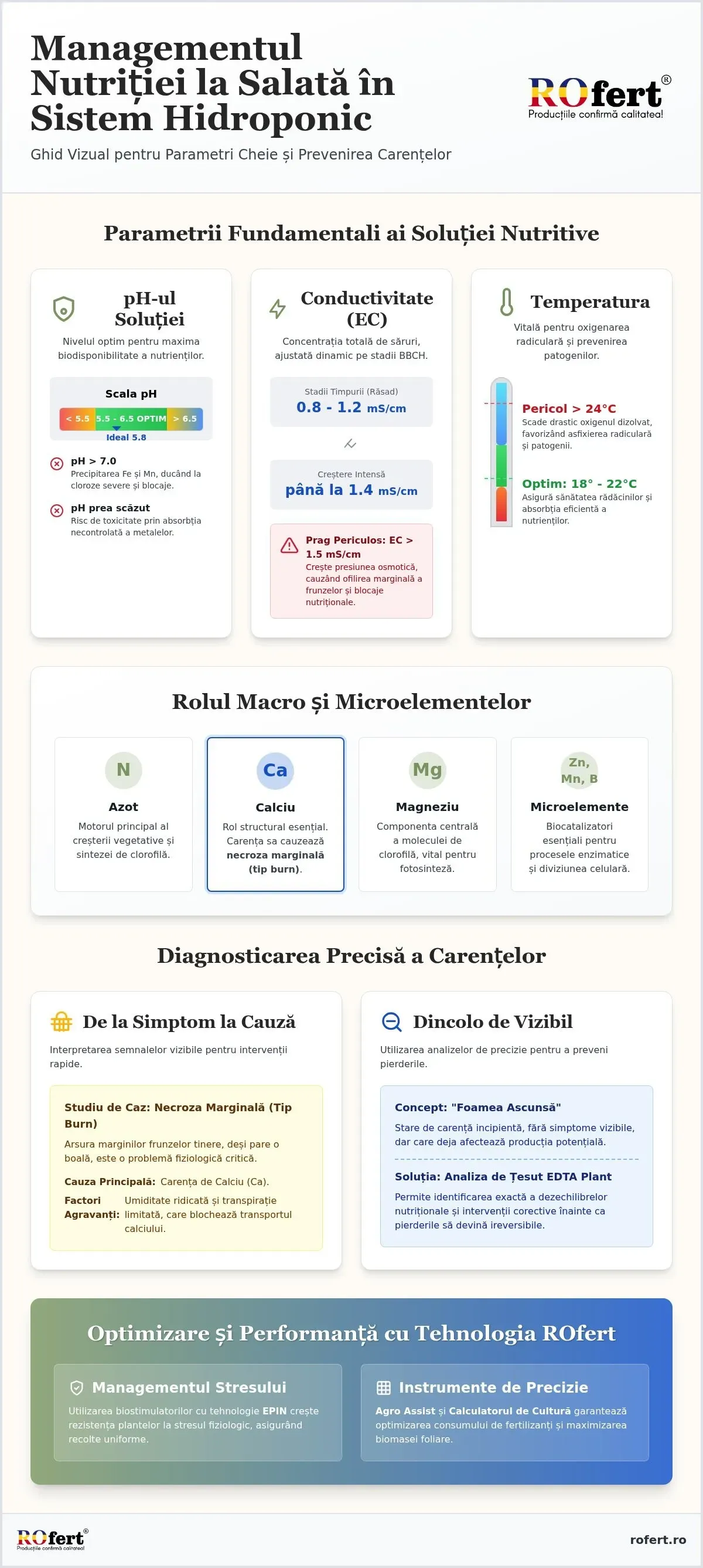 Managementul nutriției la salată în sistem hidroponic
