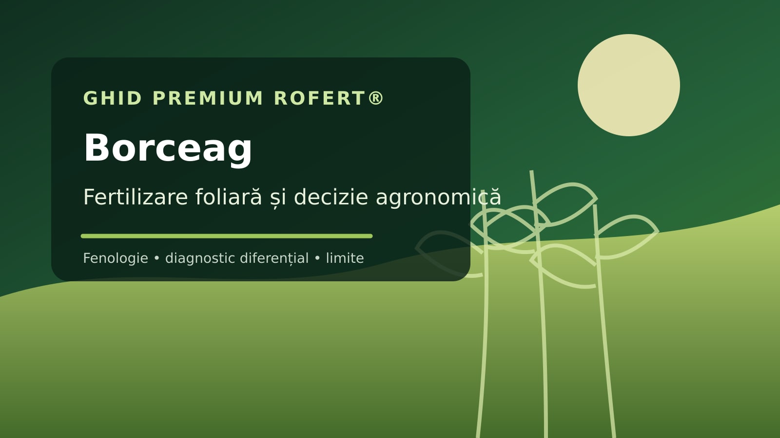Ilustrație editorială pentru ghidul de fertilizare foliară la Borceag