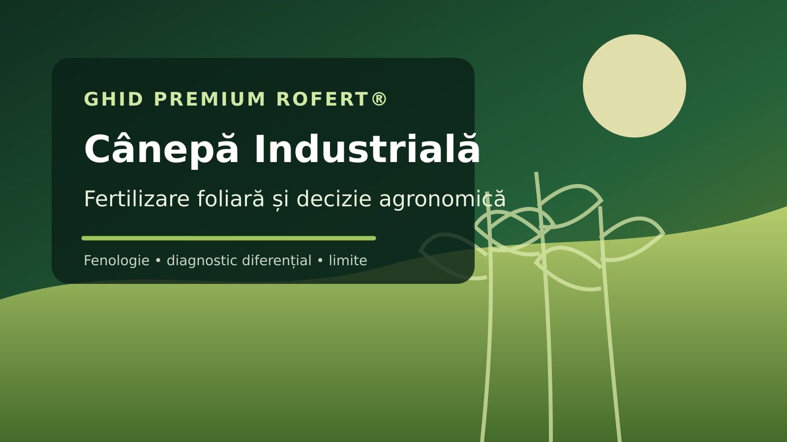 Ilustrație editorială pentru ghidul de fertilizare foliară la Cânepă Industrială