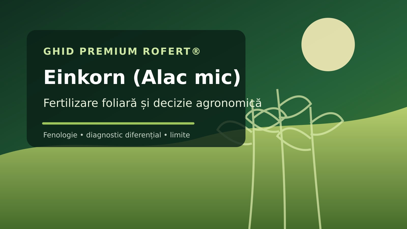 Ilustrație editorială pentru ghidul de fertilizare foliară la Einkorn (Alac mic)