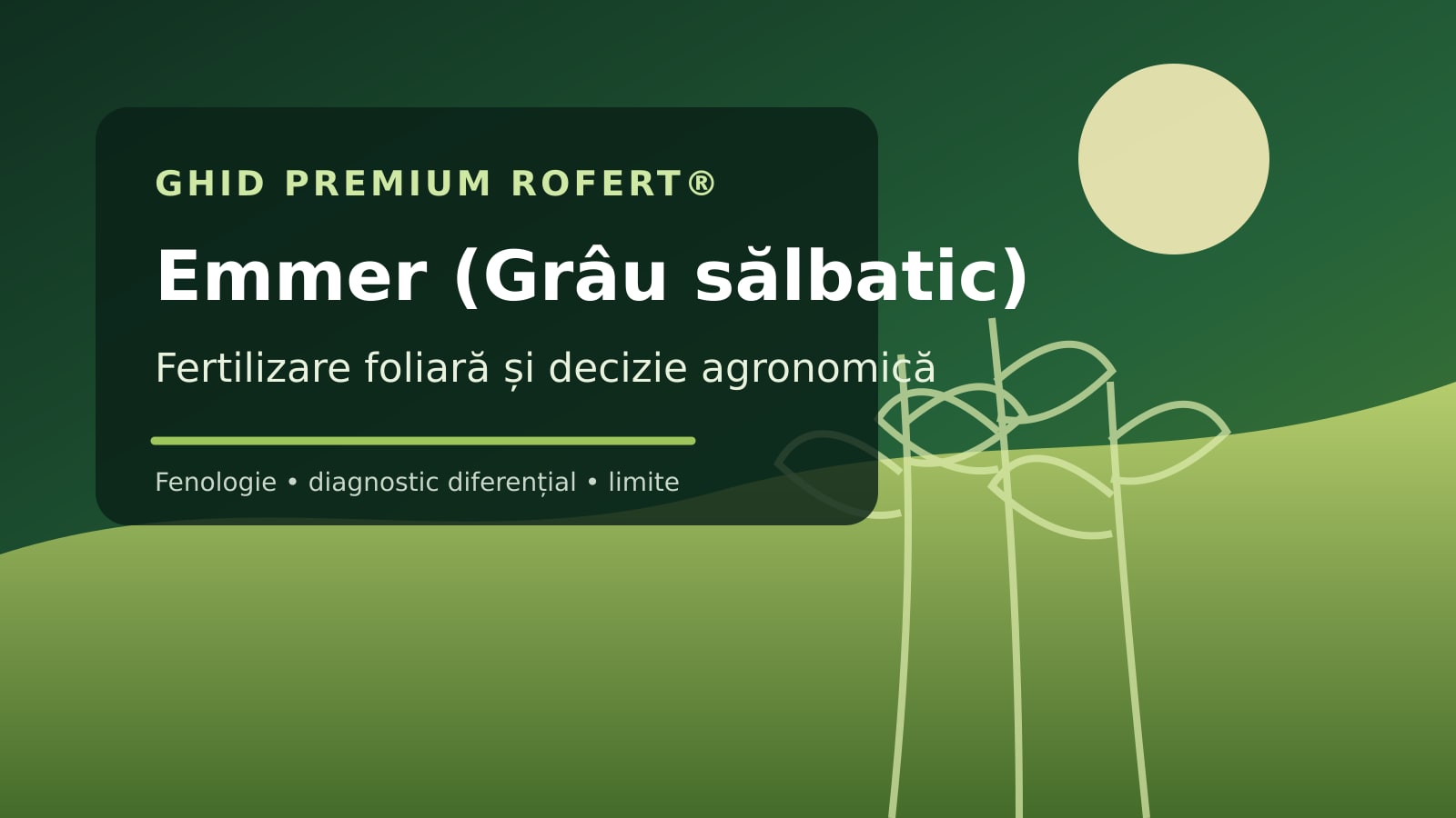 Ilustrație editorială pentru ghidul de fertilizare foliară la Emmer (Grâu sălbatic)