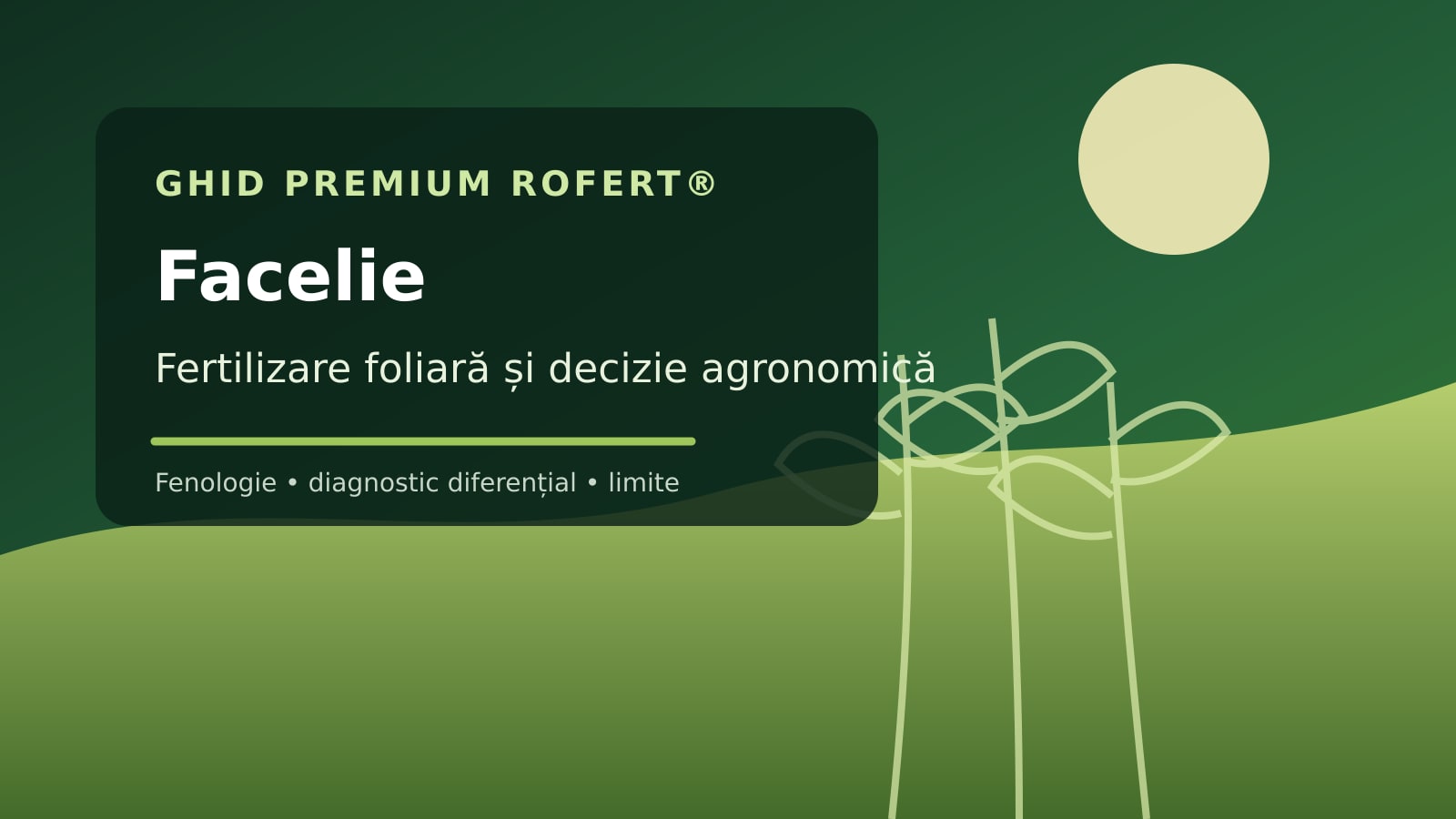 Ilustrație editorială pentru ghidul de fertilizare foliară la Facelie
