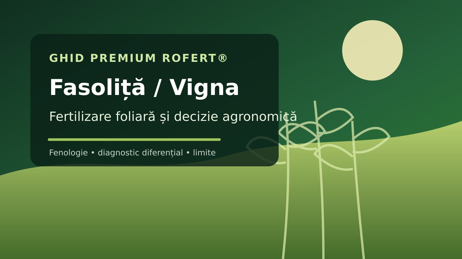 Ilustrație editorială pentru ghidul de fertilizare foliară la Fasoliță / Vigna