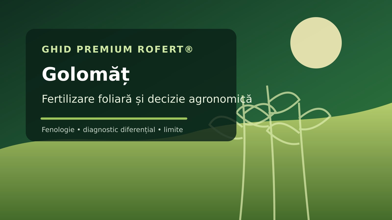 Ilustrație editorială pentru ghidul de fertilizare foliară la Golomăț
