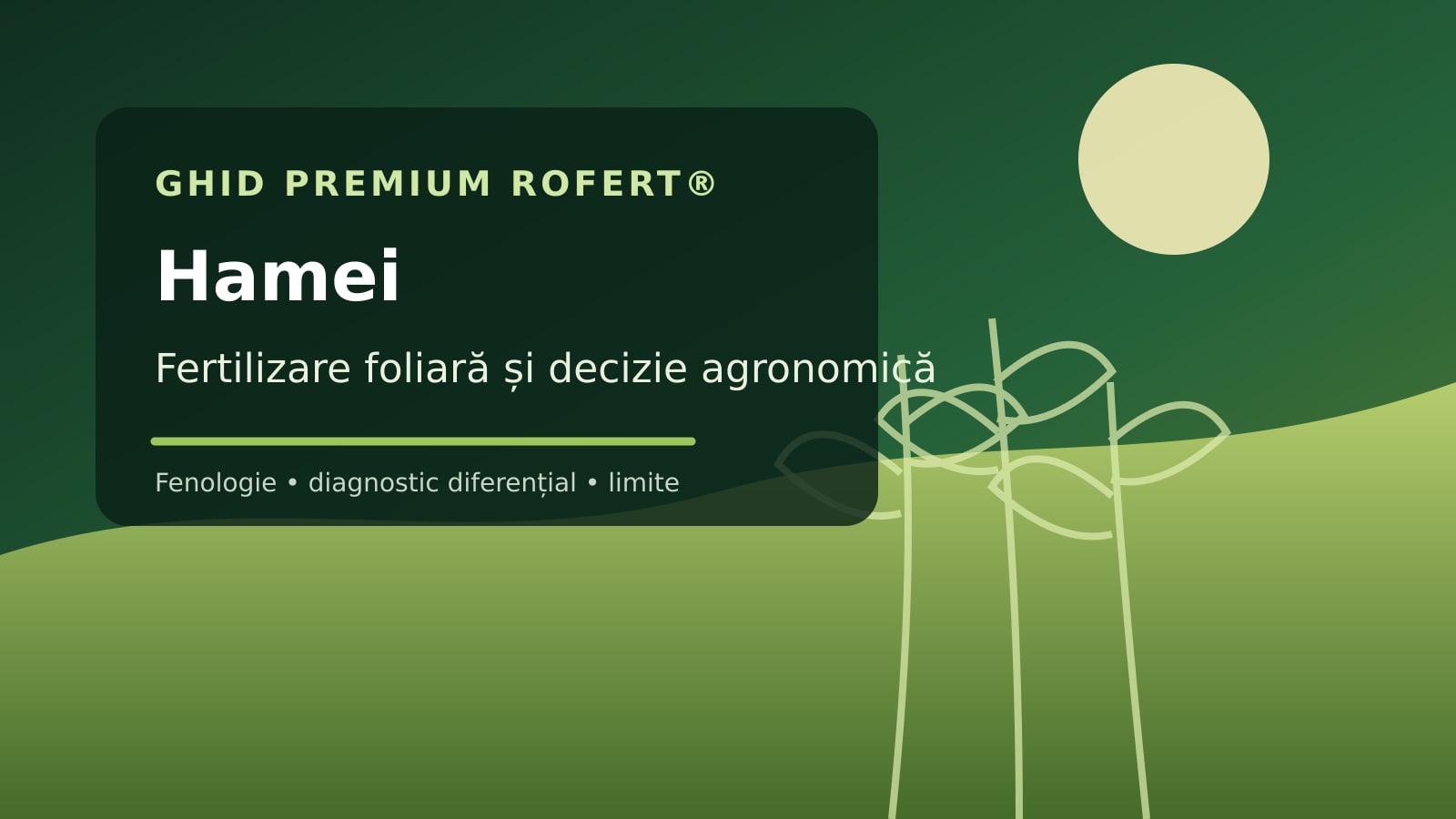 Ilustrație editorială pentru ghidul de fertilizare foliară la Hamei