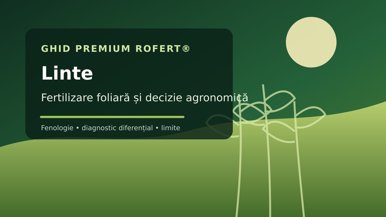 Ilustrație editorială pentru ghidul de fertilizare foliară la Linte