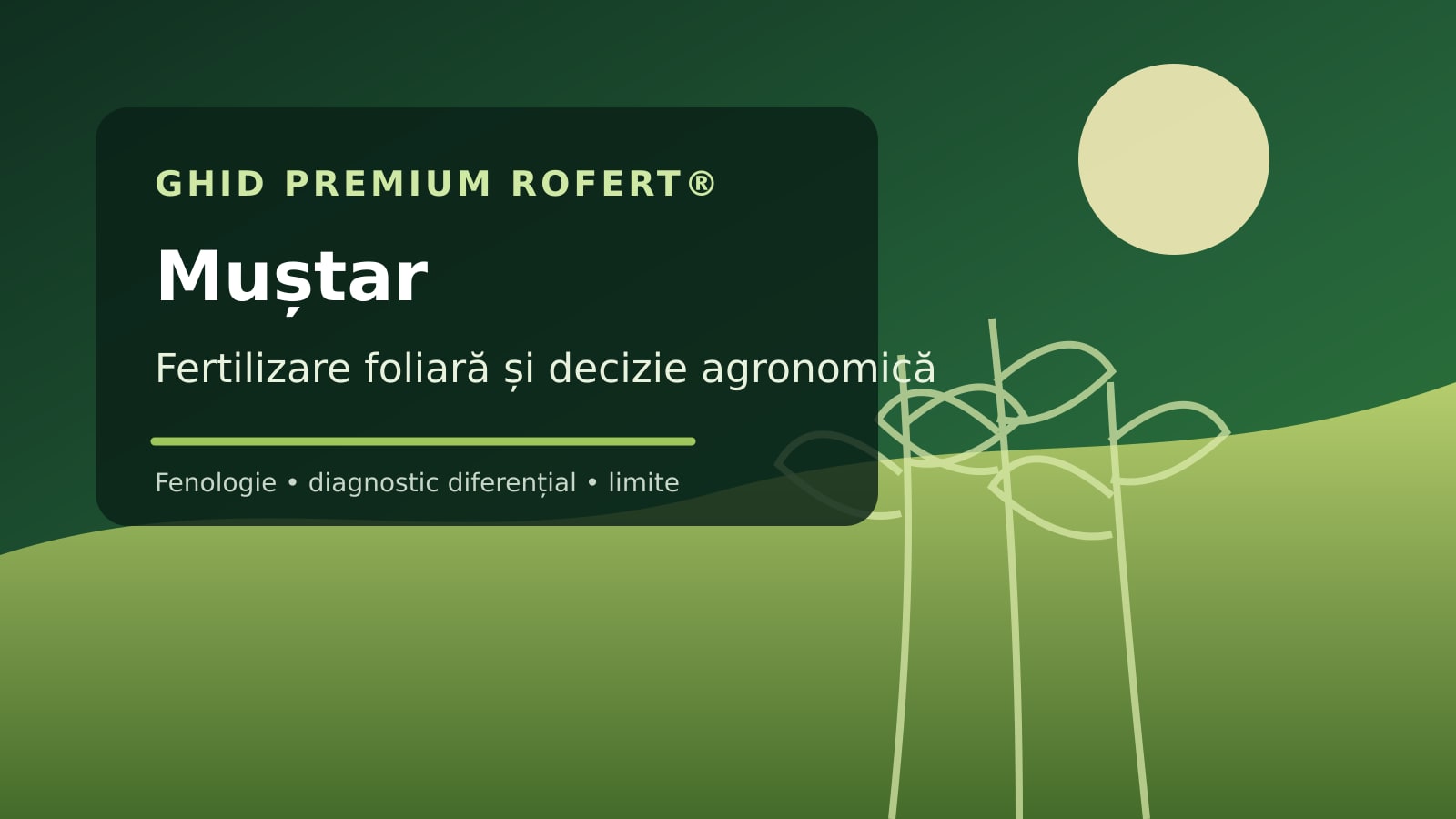 Ilustrație editorială pentru ghidul de fertilizare foliară la Muștar
