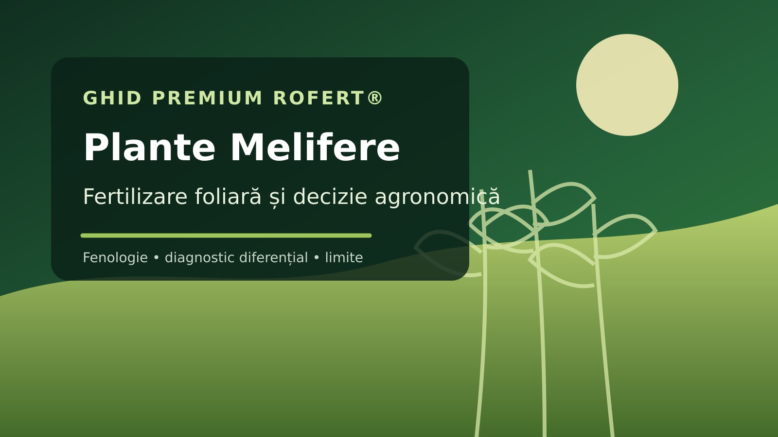 Ilustrație editorială pentru ghidul de fertilizare foliară la Plante Melifere