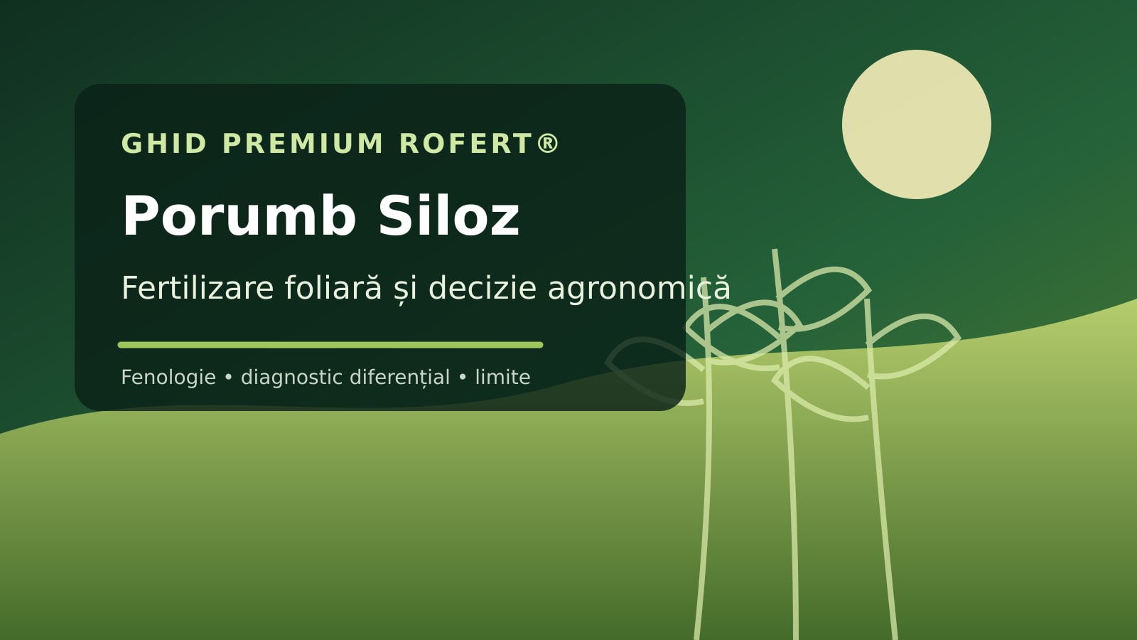 Ilustrație editorială pentru ghidul de fertilizare foliară la Porumb Siloz