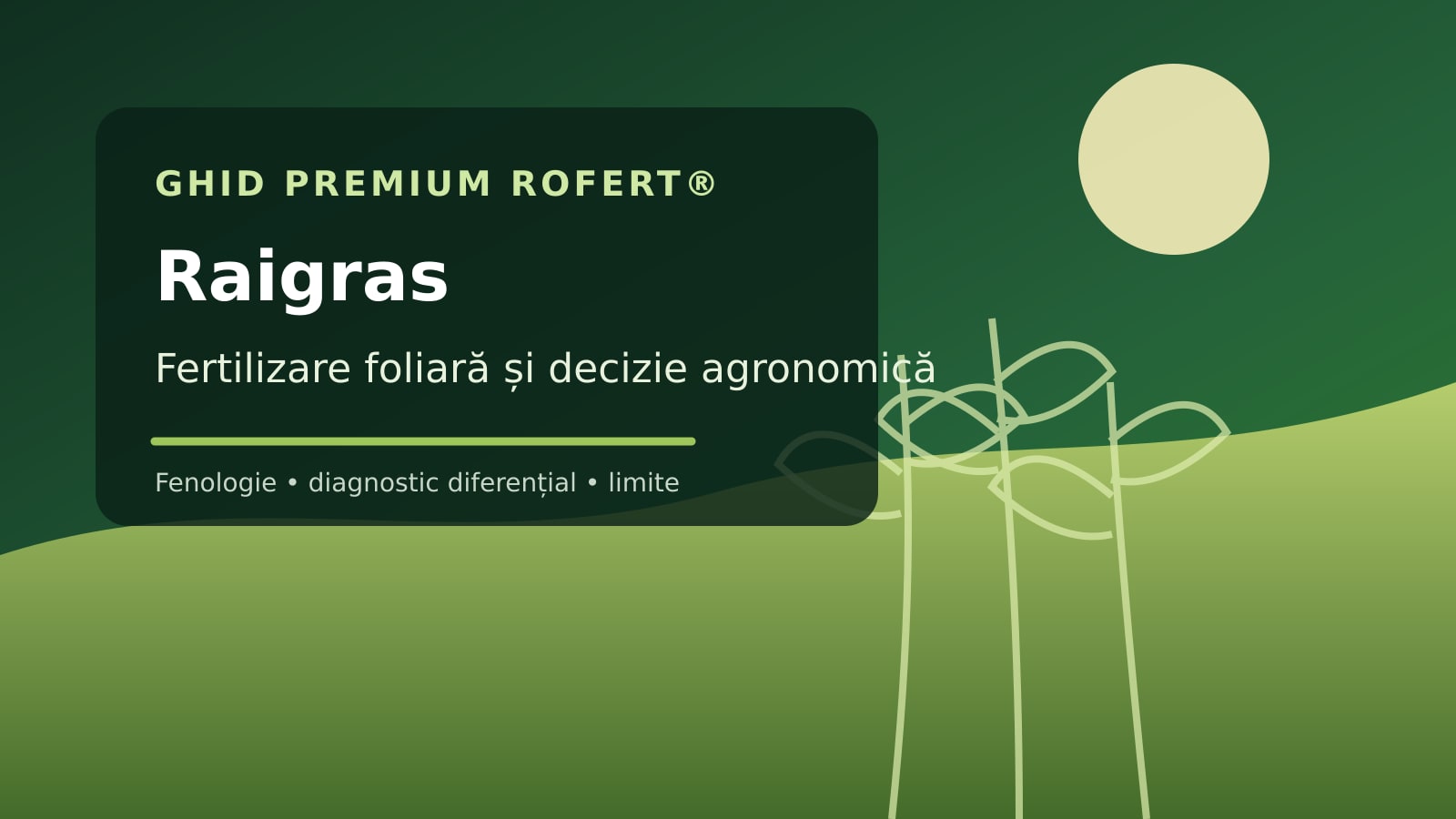 Ilustrație editorială pentru ghidul de fertilizare foliară la Raigras