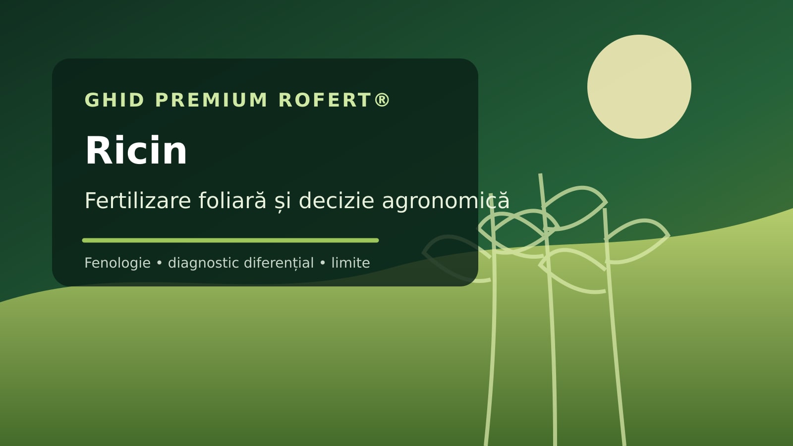 Ilustrație editorială pentru ghidul de fertilizare foliară la Ricin