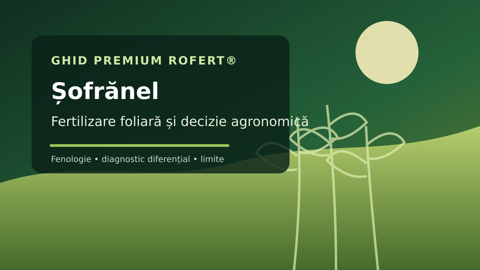 Ilustrație editorială pentru ghidul de fertilizare foliară la Șofrănel