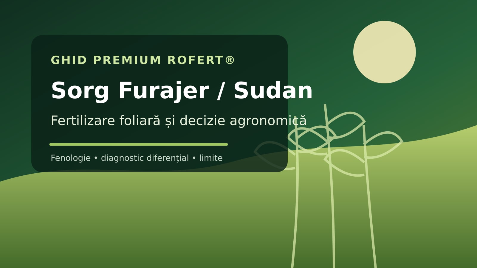 Ilustrație editorială pentru ghidul de fertilizare foliară la Sorg Furajer / Sudan