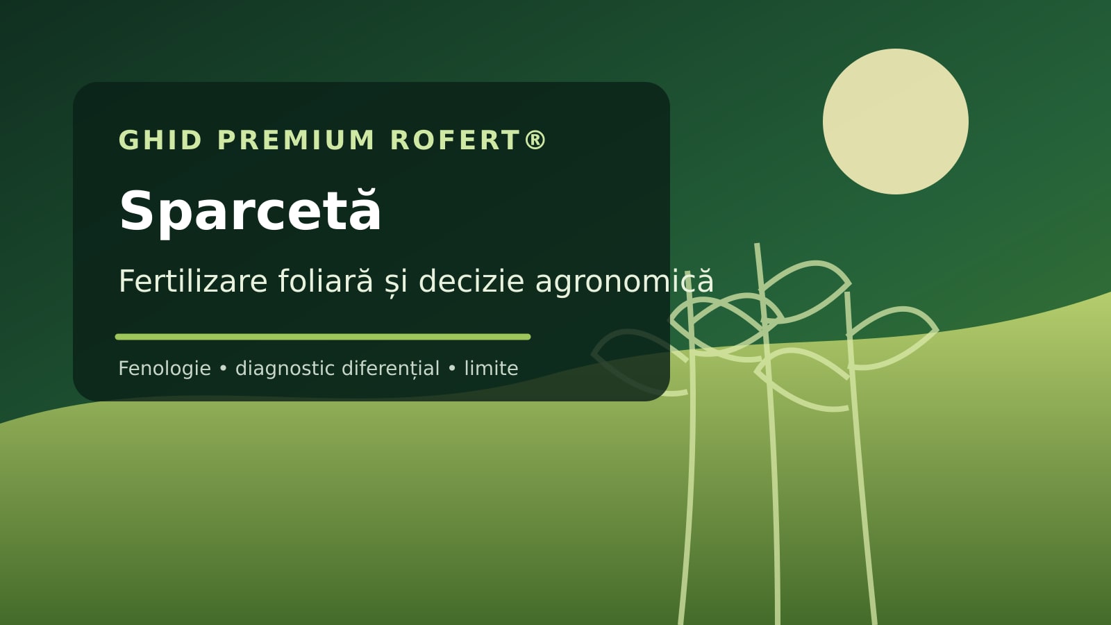 Ilustrație editorială pentru ghidul de fertilizare foliară la Sparcetă