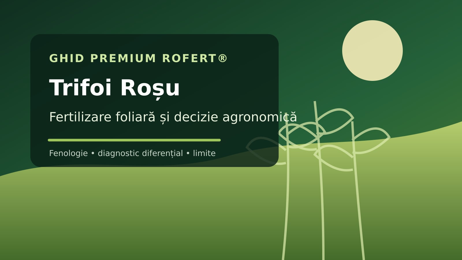 Ilustrație editorială pentru ghidul de fertilizare foliară la Trifoi Roșu