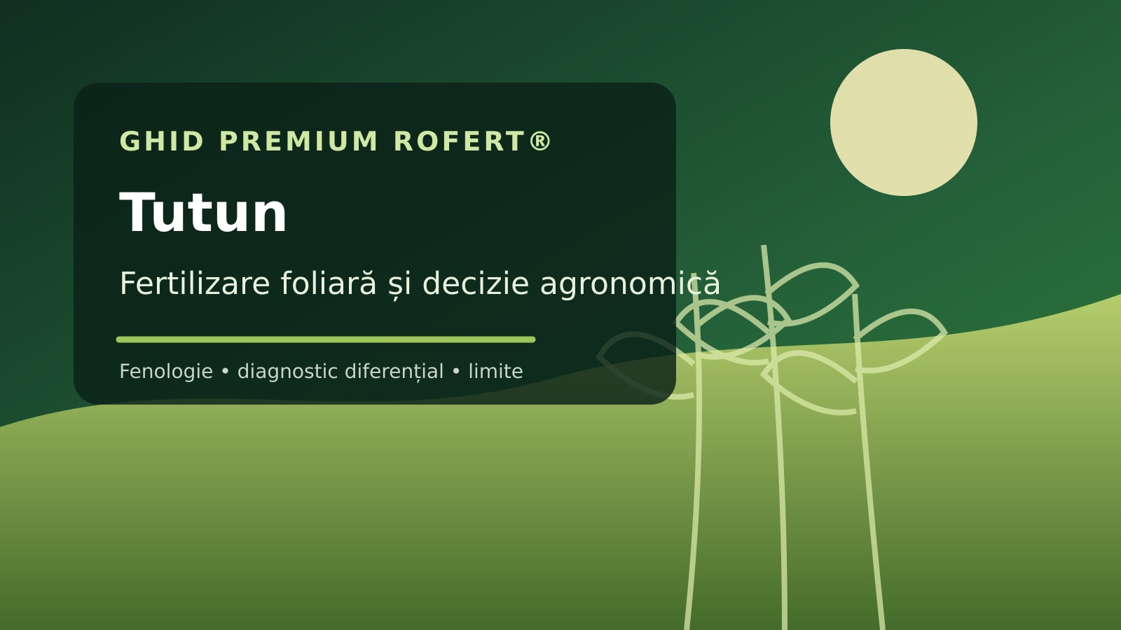 Ilustrație editorială pentru ghidul de fertilizare foliară la Tutun