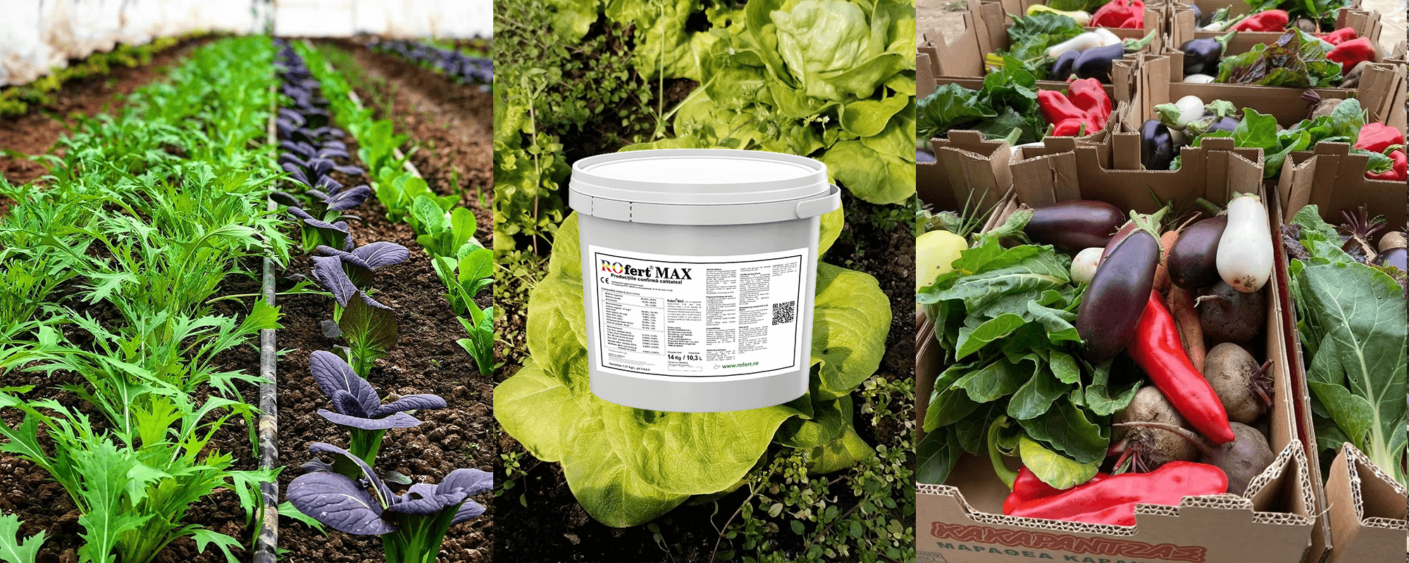 Pagina principala 1 Fertilizanți și Biostimulatori