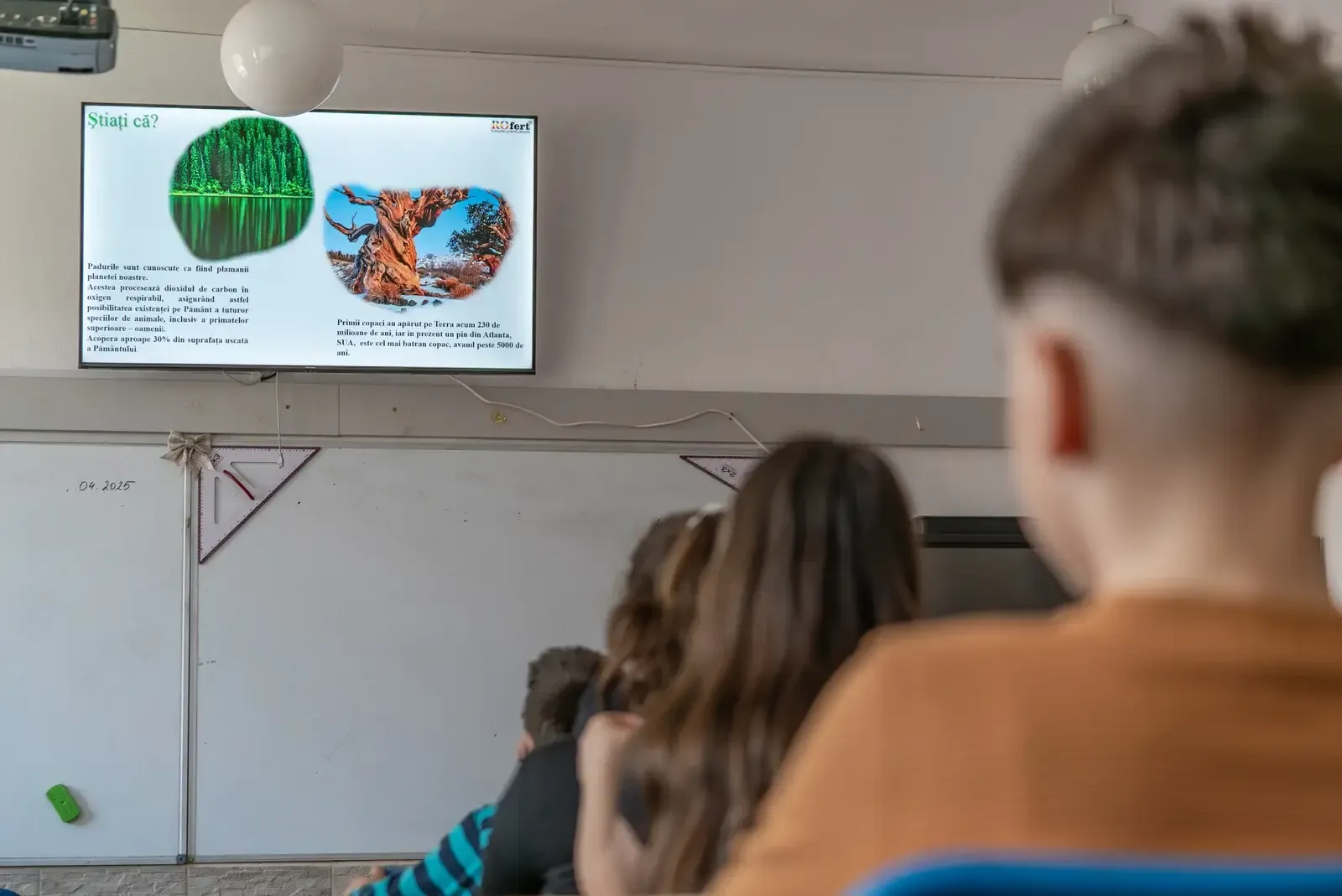 DSC06748 Enhanced NR 0ae98e47