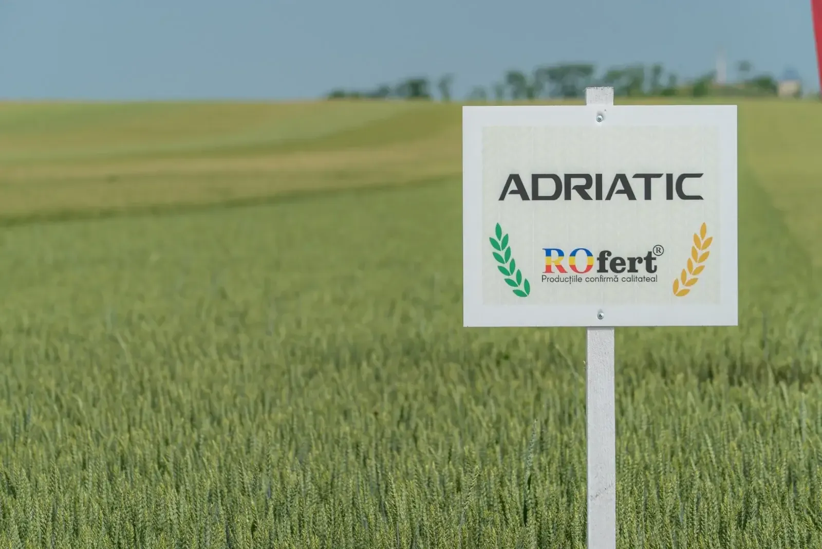 andrieseni adraitic 3ec64185