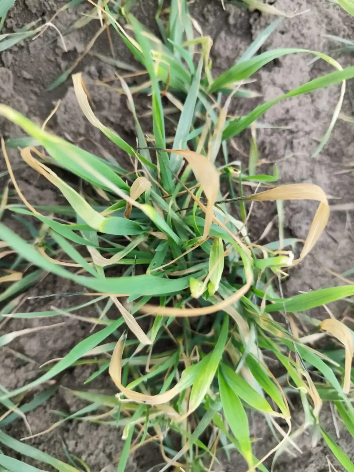 WhatsApp Image 2025 03 26 at 14.41.53 8c9098c9 6170b710