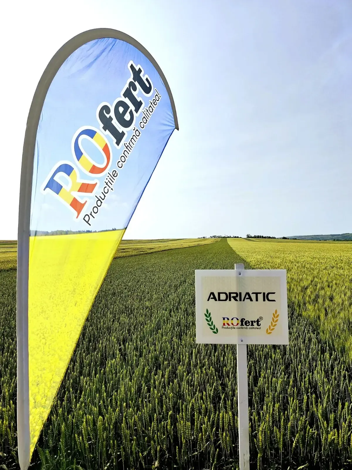 andrieseni adriatic2 a237e26c