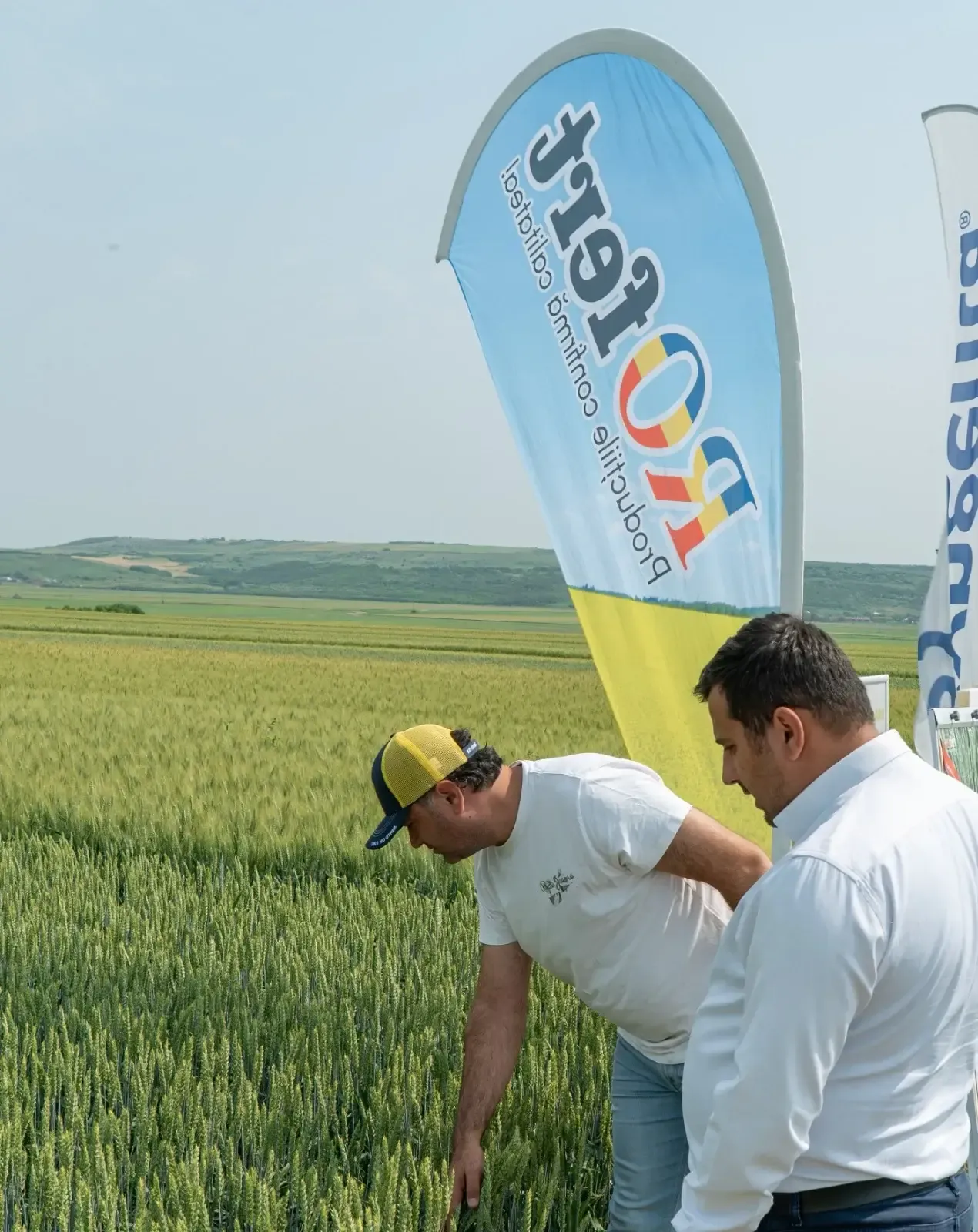 andrieseni lot ba7591dc