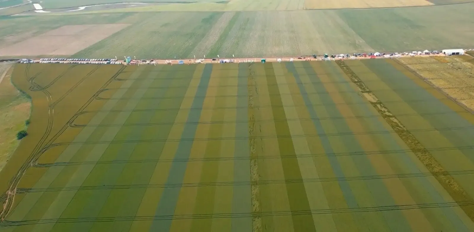 andrieseni camp d0a98210