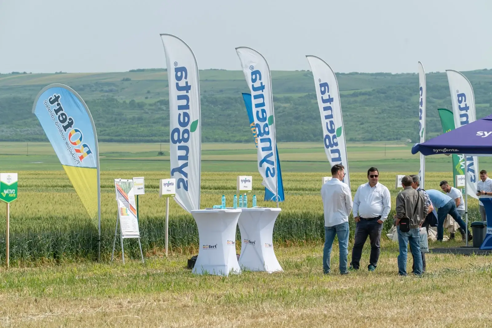 andrieseni stand
