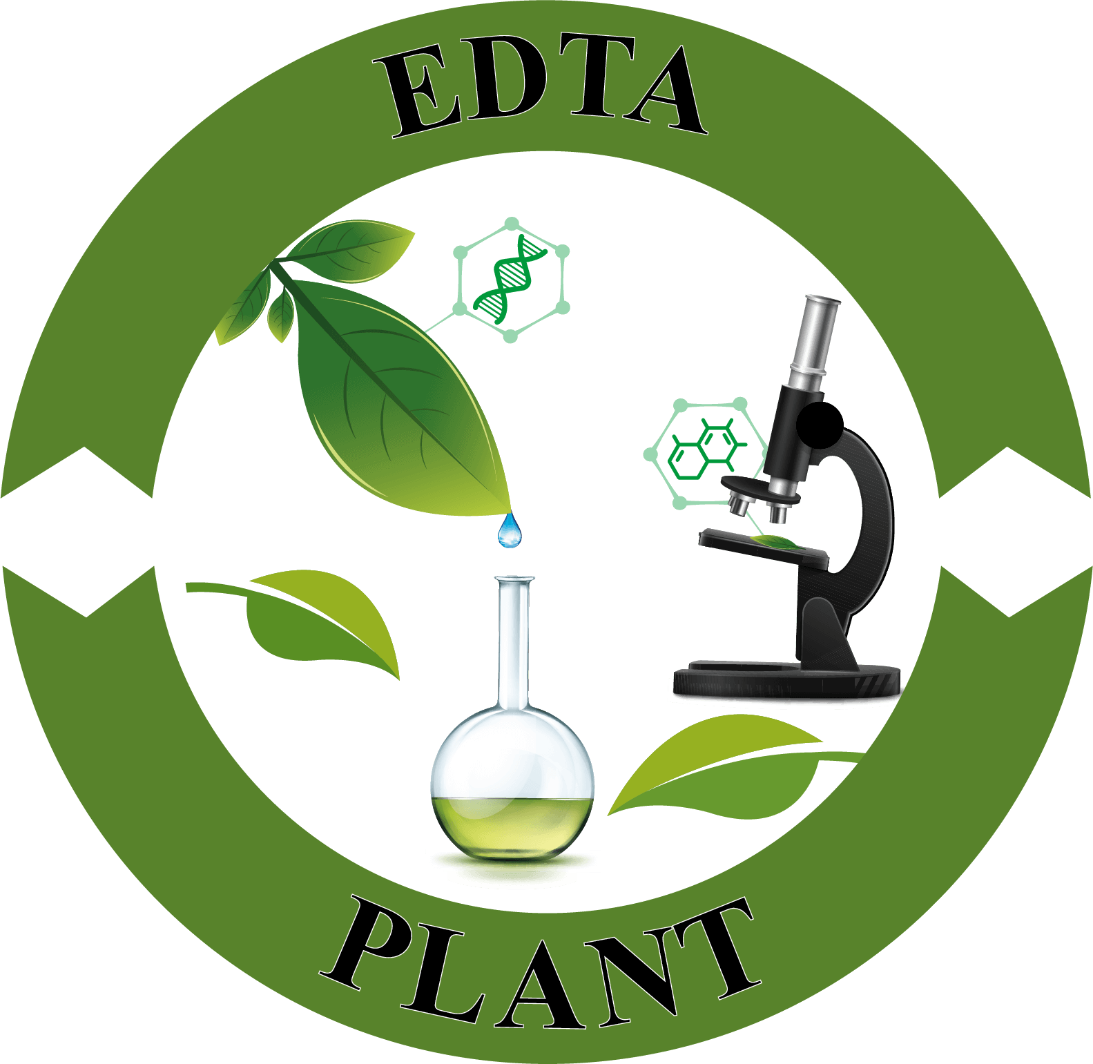 EDTA PLANT Logo