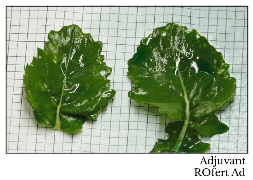 ROfert® Ad 2 Rofert Ad after1