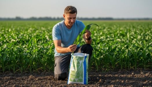 Interpretare analiză foliară: Ghid tehnic pentru optimizarea nutriției plantelor